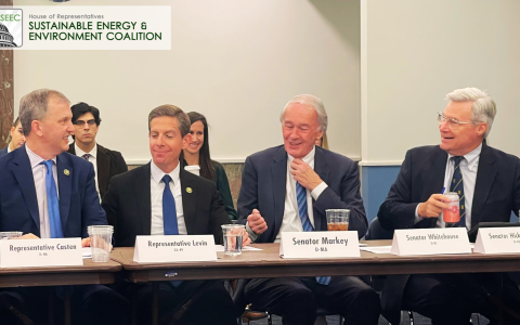 Bicameral Forum
